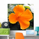 Amapola California-eschscholzia Californica Wall Decal