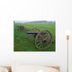Cannons Wall Decal