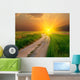 Evening Road Steppe
