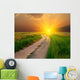 Evening Road Steppe