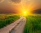 Evening Road Steppe