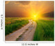 Evening Road Steppe