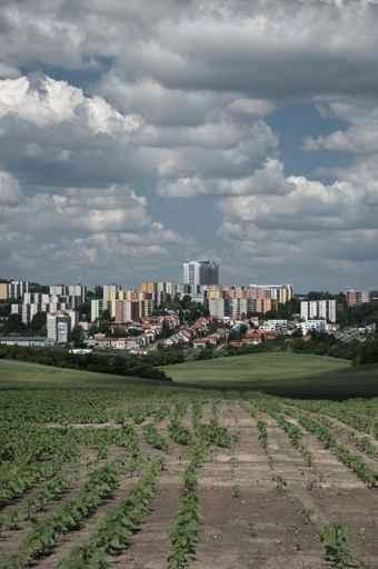Urban Agriculture Wall Decal
