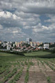 Urban Agriculture Wall Decal