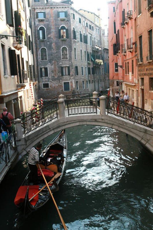 Venice Wall Mural
