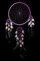 Dreamcatcher Wall Mural