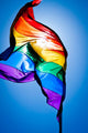 Rainbow Flag Wall Decal