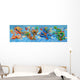 Four Color Chinese Dragon