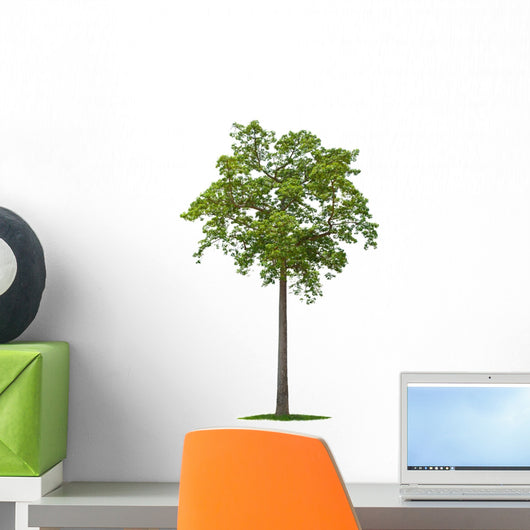 Tree Wall Decal Design 1