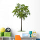 Tree Wall Decal Design 1