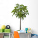 Tree Wall Decal Design 1