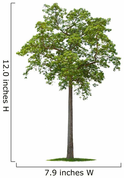 Tree Wall Decal Design 1