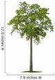 Tree Wall Decal Design 1