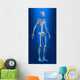 X-ray Human Body with