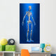 X-ray Human Body with