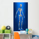 X-ray Human Body with