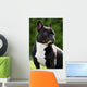 French Bulldog Wall Mural