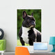 French Bulldog Wall Mural