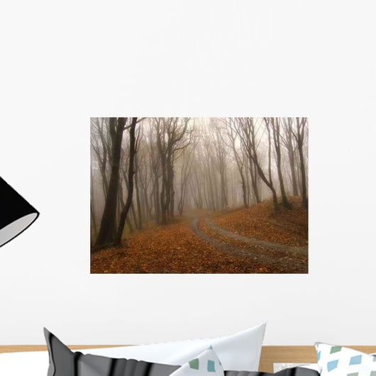 Fog Colorful Forest Autumn Wall Decal