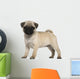 Pug Puppy Wall Decal