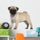 Pug Puppy Wall Decal