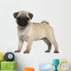 Pug Puppy Wall Decal