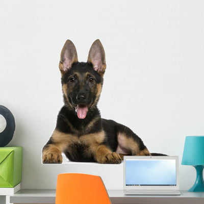 German Shepherd Puppy Wall Decal shown on a wall