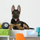 German Shepherd Puppy Wall Decal