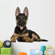 German Shepherd Puppy Wall Decal