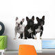 French Bulldogs, 11 months old, 3 and 6 years old Wall Decal