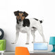 Jack Russell Terrier 3 Years Old Standing Wall Decal
