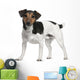 Jack Russell Terrier 3 Years Old Standing Wall Decal