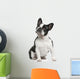 French Bulldog 3 Years Wall Decal