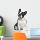 French Bulldog 3 Years Wall Decal