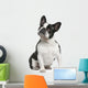 French Bulldog 3 Years Wall Decal