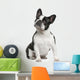 French Bulldog 3 Years Wall Decal