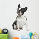 French Bulldog 3 Years Wall Decal