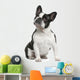 French Bulldog 3 Years Wall Decal