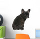French Bulldog Puppy 4 Wall Decal