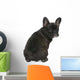 French Bulldog Puppy 4 Wall Decal