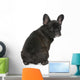 French Bulldog Puppy 4 Wall Decal