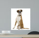 Boxer Sitting in Front of White Background Wall Decal