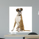 Boxer Sitting in Front of White Background Wall Decal
