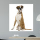 Boxer Sitting in Front of White Background Wall Decal