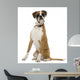 Boxer Sitting in Front of White Background Wall Decal