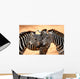 Three Zebras Kissing Wall Mural