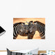 Three Zebras Kissing Wall Mural