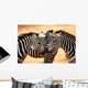 Three Zebras Kissing Wall Mural