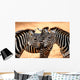 Three Zebras Kissing Wall Mural