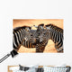 Three Zebras Kissing Wall Mural